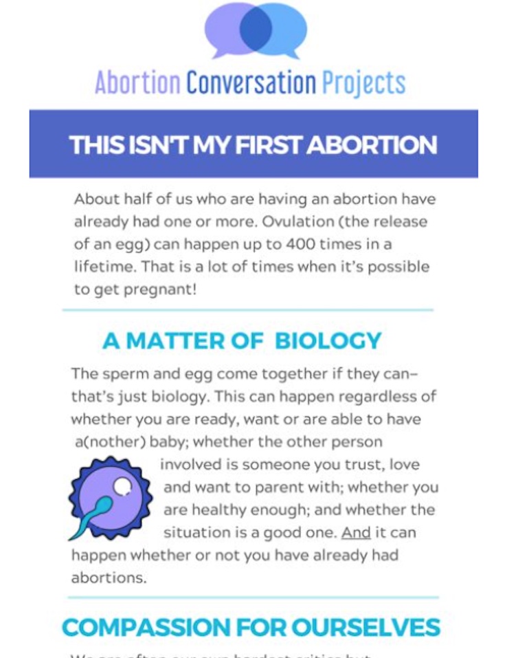 Screenshot of "This Isn't My First Abortion" PDF